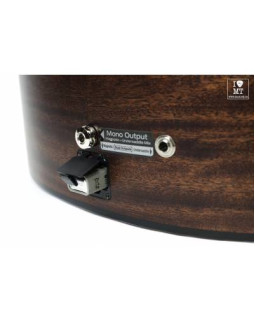 IBANEZ AAD300CE LGS Гітара електроакустична-foto16
