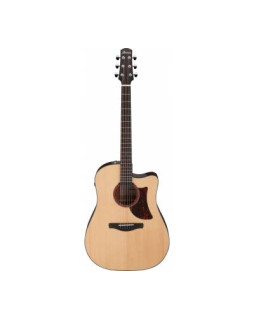 IBANEZ AAD170CE LGS Гітара електроакустична