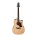 IBANEZ AAD170CE LGS Гітара електроакустична