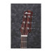 IBANEZ AAD170CE LGS Гітара електроакустична