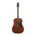 IBANEZ AAD140 OPN Гітара акустична