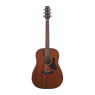 IBANEZ AAD140 OPN Гітара акустична