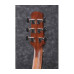 IBANEZ AAD140 OPN Гітара акустична