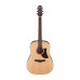 IBANEZ AAD100E Гітара електроакустична