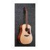 IBANEZ AAD100E Гітара електроакустична