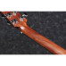 IBANEZ AAD100E Гітара електроакустична