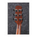 IBANEZ AAD100E Гітара електроакустична