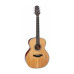 TAKAMINE GN20 NS Гітара акустична