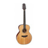 TAKAMINE GN20 NS Гітара акустична