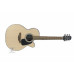 TAKAMINE GX18CE NS Гітара електроакустична