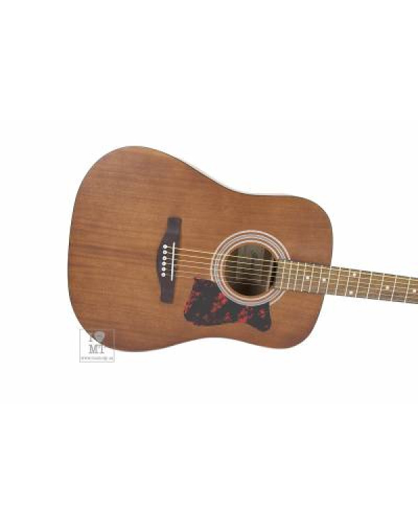 IBANEZ V54NJP Гітарний набір