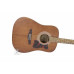 IBANEZ V54NJP Гітарний набір