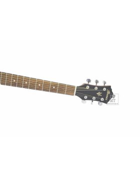 IBANEZ V54NJP Гітарний набір-foto17