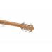 IBANEZ V54NJP Гітарний набір