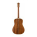 FENDER PM-1E DREADNOUGHT MAHOGANY BLACK TOP LTD Гітара електроакустична