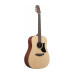 IBANEZ AAD50-LG Гітара акустична