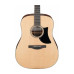 IBANEZ AAD50-LG Гітара акустична