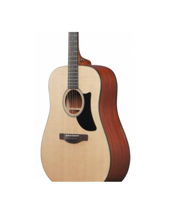 IBANEZ AAD50-LG Гітара акустична