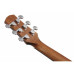 IBANEZ AAD50-LG Гітара акустична