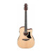 IBANEZ AAD50CE-LG Гітара електроакустична