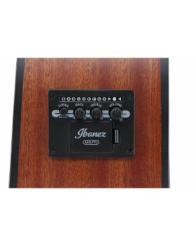 IBANEZ AAD50CE-LG Гітара електроакустична-foto10