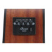 IBANEZ AAD50CE-LG Гітара електроакустична
