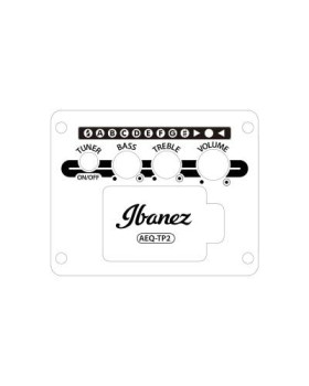 IBANEZ AAD50CE-LG Гітара електроакустична-foto12