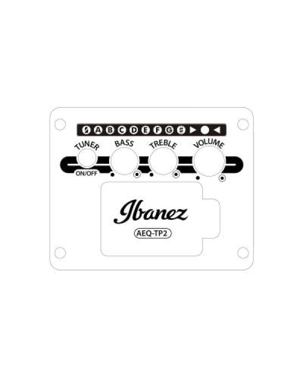 IBANEZ AAD50CE-LG Гітара електроакустична