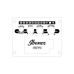 IBANEZ AAD50CE-LG Гітара електроакустична