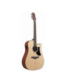 IBANEZ AAD50CE-LG Гітара електроакустична-foto3