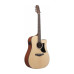 IBANEZ AAD50CE-LG Гітара електроакустична