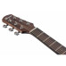 IBANEZ AAD50CE-LG Гітара електроакустична