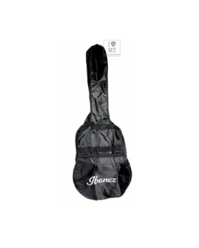IBANEZ V50NJP NT Гітарний набір-foto8