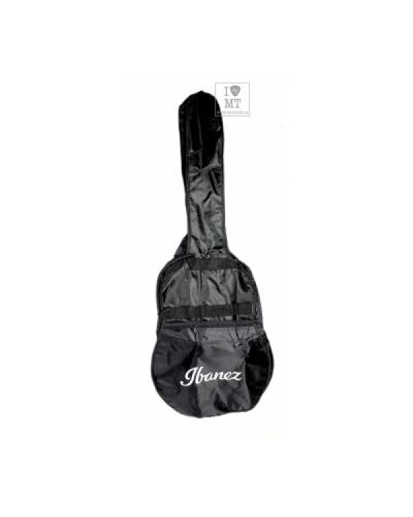 IBANEZ V50NJP NT Гітарний набір