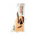 IBANEZ V50NJP NT Гітарний набір