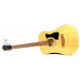 IBANEZ V50NJP NT Гітарний набір