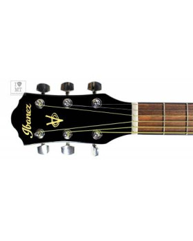 IBANEZ V50NJP NT Гітарний набір-foto5