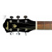 IBANEZ V50NJP NT Гітарний набір