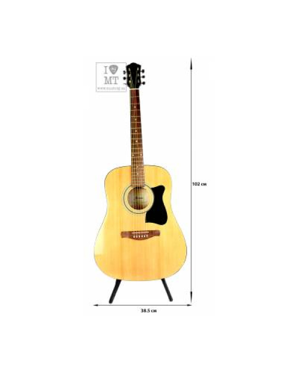 IBANEZ V50NJP NT Гітарний набір