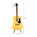 IBANEZ V50NJP NT Гітарний набір