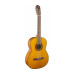 TAKAMINE GC1 NAT Гітара класична