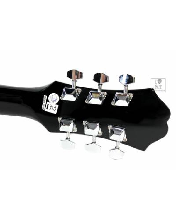 EPIPHONE DR-100 EB Гітара акустична