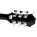 EPIPHONE DR-100 EB Гітара акустична