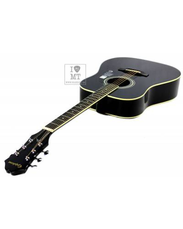 EPIPHONE DR-100 EB Гітара акустична