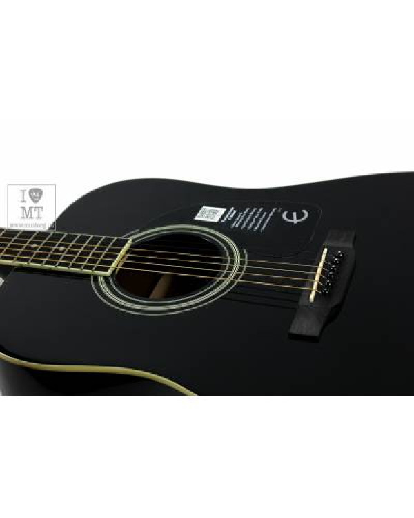 EPIPHONE DR-100 EB Гітара акустична