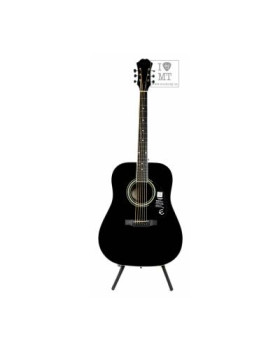 EPIPHONE DR-100 EB Гітара акустична