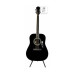 EPIPHONE DR-100 EB Гітара акустична