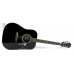 EPIPHONE DR-100 EB Гітара акустична