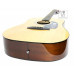 EPIPHONE DR-100 NT Гітара акустична