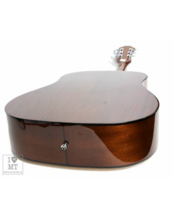 EPIPHONE DR-100 NT Гітара акустична-foto10